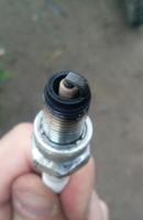 post-9722-0-40651200-1379176646_thumb.jpg