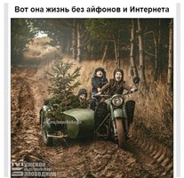 imageP73B8MZX.jpg