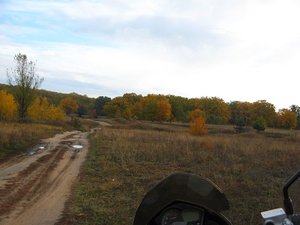 IMG_3715.jpg