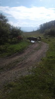 20180808_091438.jpg