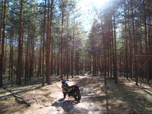 DSC00076.JPG