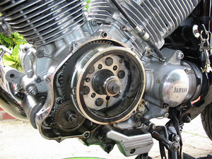 image (10).jpg