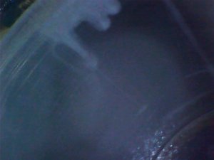 WIN_20200415_16_27_06_Pro.jpg
