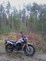 IMG_20201101_140924.jpg